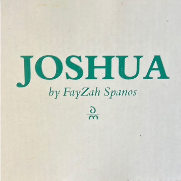 Joshua by FayZah Spanos Collectible Doll - Picture 1 of 4
